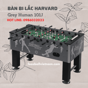 Bàn bi lắc Harvard Grey Human 101J